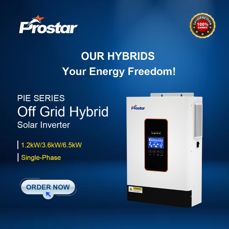 【2026】3.6kw 12V 24V 48V Pure S - огляд і ціна Renewable Energy Grid