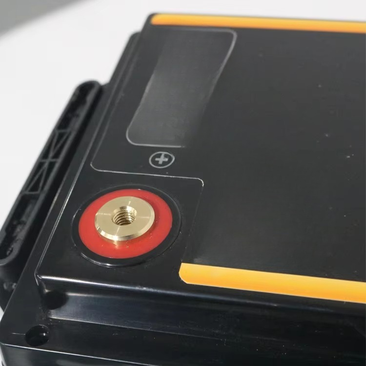 Lifepo4 12 V 100Ah 200Ah 300Ah - огляд і ціна Lifepo4 Battery Pack
