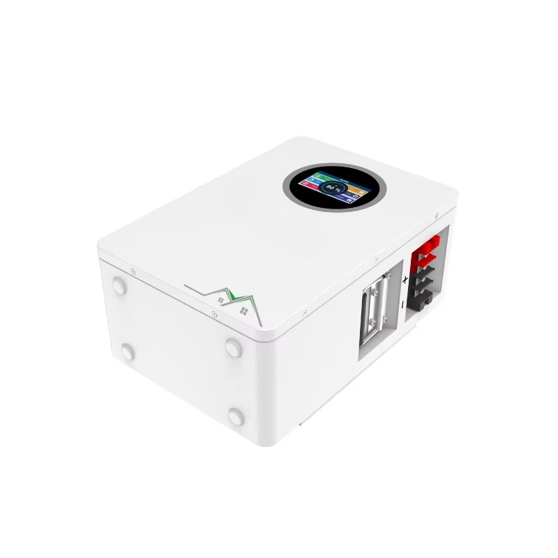 SUMT EB 25.6V 100Ah LiFePO4 Ba - огляд і ціна Lifepo4 Battery Pack